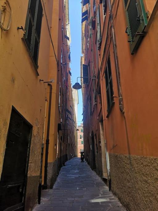L'antro Delle Sibille Un Nido Di E Intimita